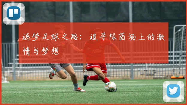 逐梦足球之路：追寻绿茵场上的激情与梦想