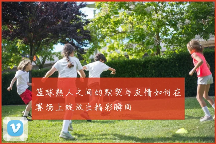 篮球熟人之间的默契与友情如何在赛场上绽放出精彩瞬间