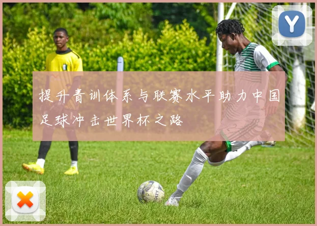 提升青训体系与联赛水平助力中国足球冲击世界杯之路