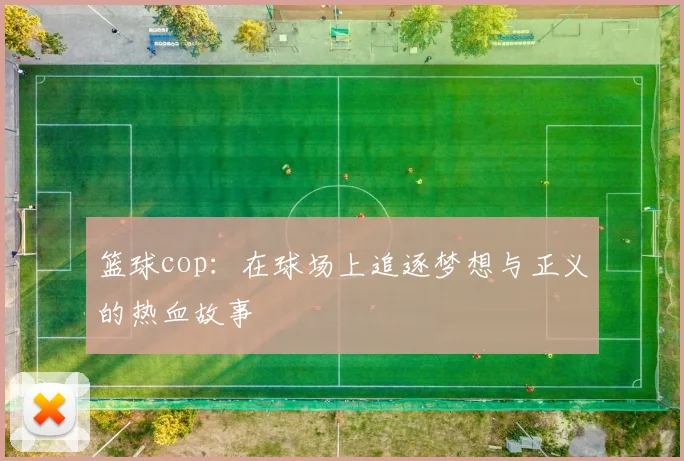 篮球cop：在球场上追逐梦想与正义的热血故事