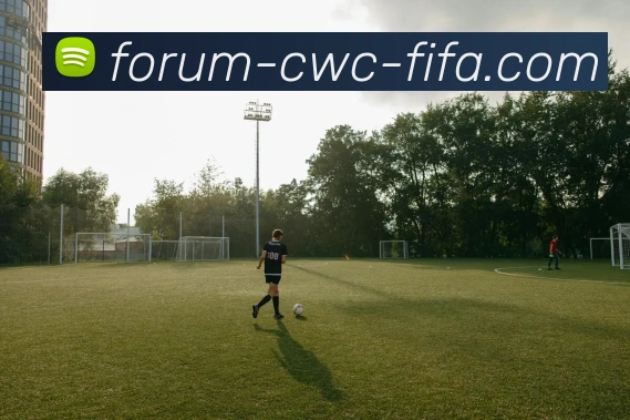 2025世俱杯平台生态图